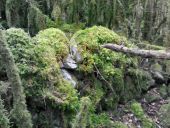 Point d'intérêt Fougax-et-Barrineuf - murbbien cachebderriere les mousses! - Photo 1