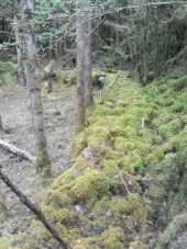 Point d'intérêt Fougax-et-Barrineuf - mur circulaire autour de la doline - Photo 1