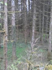 Point d'intérêt Fougax-et-Barrineuf - grande doline ,retour vers ludax - Photo 1