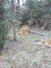 Point d'intérêt Fougax-et-Barrineuf - mur avant le descente dans la doline  - Photo 1