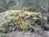 Point d'intérêt Fougax-et-Barrineuf - bati entre 2 dolines - Photo 1