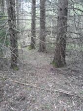 Point d'intérêt Fougax-et-Barrineuf - grosse doline probablement pas encore reperee - Photo 1