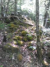 Point d'intérêt Bélesta - Point 18. tumulus  - Photo 1