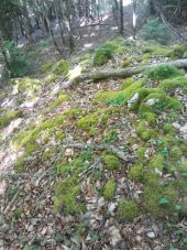 Point d'intérêt Bélesta - Point 21. gros tumulus  - Photo 1