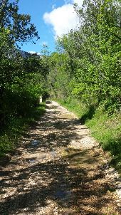 Point d'intérêt Saint-Vallier-de-Thiey - Point 1 - Photo 1