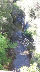 Point of interest Saint-Vallier-de-Thiey - La Siagne vers l amont - Photo 1