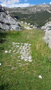 Point d'intérêt Escragnolles - Un chemin plus carrossable - Photo 1