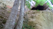 Punto di interesse Saint-Julien-en-Vercors - Grotte des gaulois - Photo 1