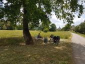 POI Inglingen - Point 11 - Photo 2