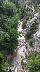 Point d'intérêt Saint-Cézaire-sur-Siagne - vers l'aval - Photo 1