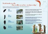Punto di interesse Libramont-Chevigny - Panneau didactique sur la végétation environnante - Photo 1