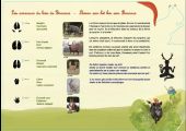 Punto di interesse Libramont-Chevigny - Panneaux pédagogique sur les  animaux des forêts d'Ardenne - Photo 1