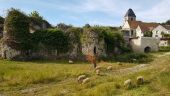 Point d'intérêt Beynes - Château ruiné - Photo 1