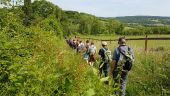 Point d'intérêt Montainville - Descente - Photo 1