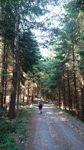 POI Le Chambon-sur-Lignon - 06 - Enfin une belle descente ! - Photo 1