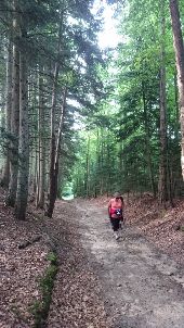 POI Tence - 02 - Le chemin du Creux du Loup, une montée relaxe - Photo 1