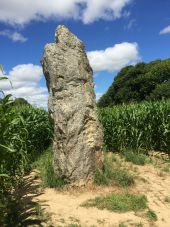Point of interest Guitté - Menhir de La Pierre Longue - Photo 1