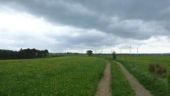 Point d'intérêt Bullange - Panorama Manderfeld - Photo 1