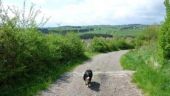 POI Büllingen - Panorama vanaf Weckerath - Photo 1