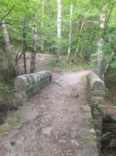 Point d'intérêt Thuès-Entre-Valls - pont de pierres  - Photo 1