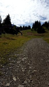 Point d'intérêt Manigod - traversee de la piste de sli - Photo 1