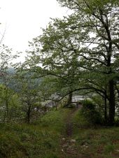 Point d'intérêt Dinant - Belvédère - Photo 1