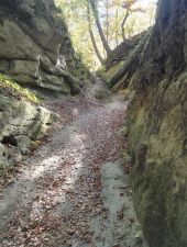 POI Burgdorf - Ancien chemin creusé - Photo 1