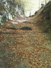 POI Burgdorf - Ancien chemin creusé - Photo 2