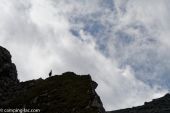 Point d'intérêt Le Dévoluy - Le Col des Aiguilles - Photo 5
