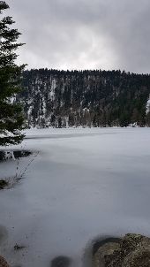 Punto di interesse La Bresse - Lac des Corbeaux aval - Photo 1