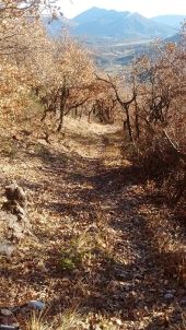 POI La Faurie - Crête de la Longeagne - Photo 1