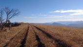 Point d'intérêt La Faurie - Crête de la Longeagne - Photo 4