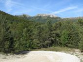 Point d'intérêt L'Épine - Vers le Col d'Arron - Photo 3