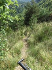 Point d'intérêt La Piarre - Descente de la Piarre - Photo 1