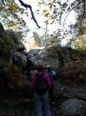 POI Fontainebleau - Unnamed POI - Photo 1