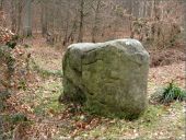 Point d'intérêt Villers-Saint-Frambourg-Ognon - le dolmen de Chancy - Photo 1