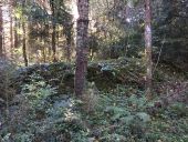 Point d'intérêt Fougax-et-Barrineuf - mur ou tumulus?  - Photo 1