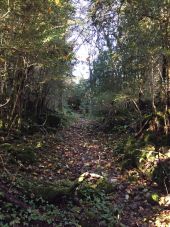 Punto de interés Fougax-et-Barrineuf - chemin de ludax - Photo 1