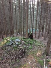 POI Fougax-et-Barrineuf - série de tumulus - Photo 1