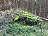 Punto de interés Fougax-et-Barrineuf - deux autres tumulus - Photo 1