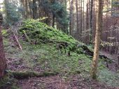 Punto de interés Fougax-et-Barrineuf - autre tumulus  - Photo 1