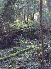 Point d'intérêt Fougax-et-Barrineuf - deux gros tumulus  - Photo 1