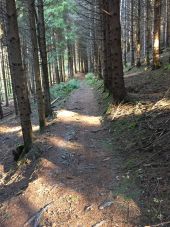 Point d'intérêt Fougax-et-Barrineuf - chemin d'exploitation?  - Photo 1