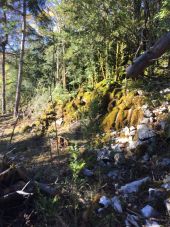 Point d'intérêt Fougax-et-Barrineuf - mur bâti près de la cabane - Photo 1