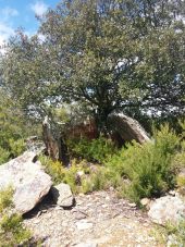 Punto de interés Saint-Michel-de-Llotes - dolmen de los mosis Point 1 - Photo 1