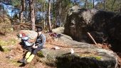 Point d'intérêt Fontainebleau - Pique-nique - Photo 1