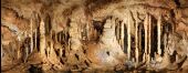 Point d'intérêt Rochefort - Domaine des Grottes de Han - Photo 2