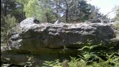 Point d'intérêt Fontainebleau - 11 - Le museau d'un <i>Sarcosuchus imperator</i> - Photo 1