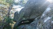 Point of interest Fontainebleau - Un drôle de monstre préhistorique. Dans la montée hors piste - Photo 1