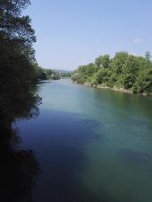 POI Aarau - un bras de la rivière - Photo 1